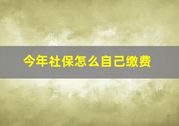 今年社保怎么自己缴费