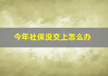 今年社保没交上怎么办