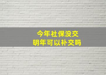 今年社保没交明年可以补交吗