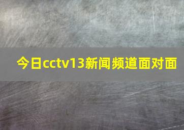 今日cctv13新闻频道面对面