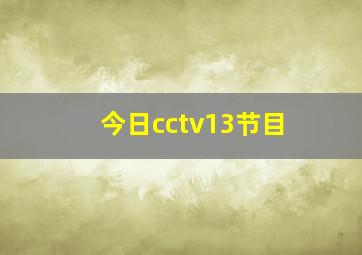 今日cctv13节目