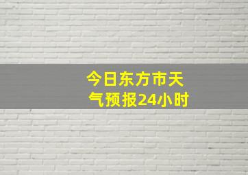 今日东方市天气预报24小时