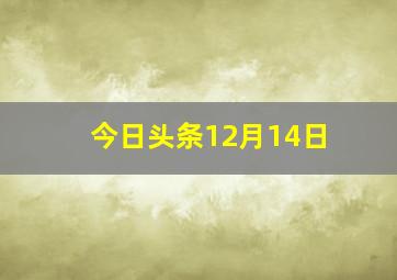 今日头条12月14日