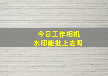 今日工作相机水印能批上去吗