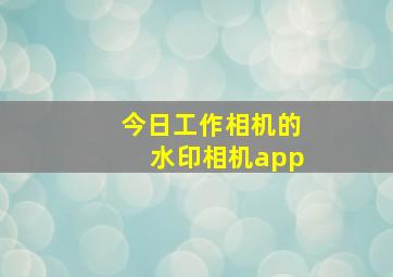 今日工作相机的水印相机app