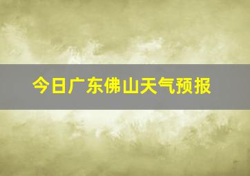 今日广东佛山天气预报