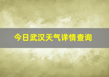 今日武汉天气详情查询