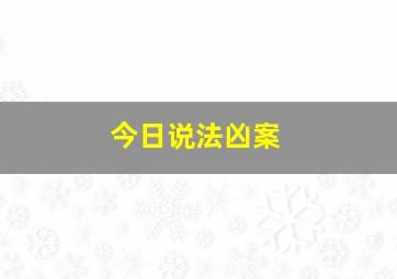 今日说法凶案