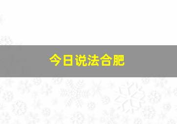 今日说法合肥