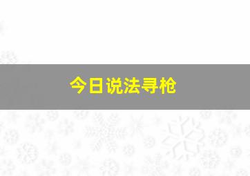 今日说法寻枪