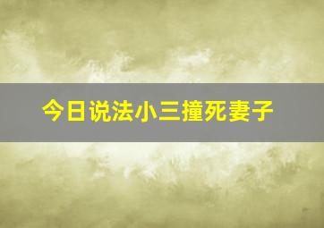 今日说法小三撞死妻子