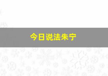 今日说法朱宁