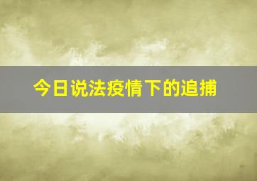 今日说法疫情下的追捕