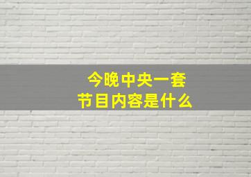 今晚中央一套节目内容是什么