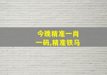 今晚精准一肖一码,精准铁马