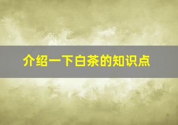 介绍一下白茶的知识点