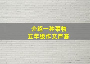 介绍一种事物五年级作文芦荟