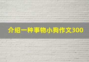 介绍一种事物小狗作文300