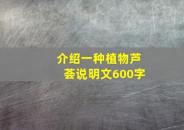 介绍一种植物芦荟说明文600字