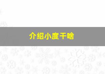 介绍小度干啥