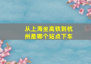 从上海坐高铁到杭州是哪个站点下车