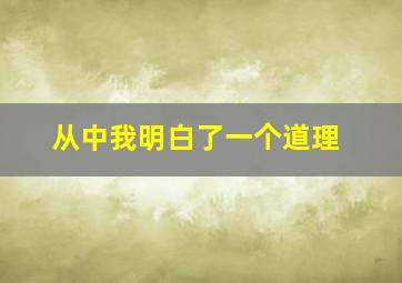 从中我明白了一个道理