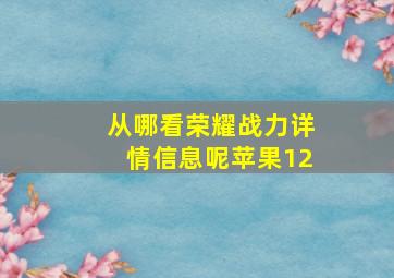 从哪看荣耀战力详情信息呢苹果12