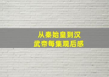 从秦始皇到汉武帝每集观后感