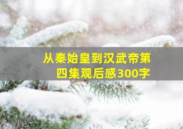 从秦始皇到汉武帝第四集观后感300字