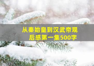 从秦始皇到汉武帝观后感第一集500字