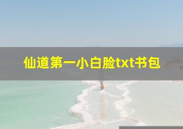 仙道第一小白脸txt书包