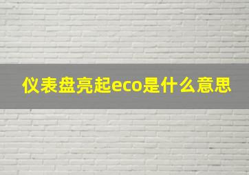 仪表盘亮起eco是什么意思