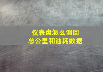 仪表盘怎么调回总公里和油耗数据