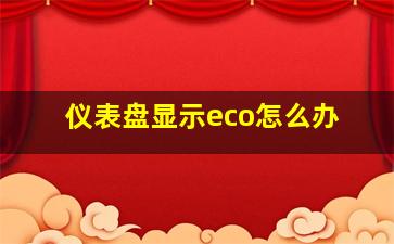 仪表盘显示eco怎么办