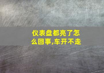 仪表盘都亮了怎么回事,车开不走