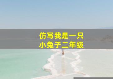 仿写我是一只小兔子二年级