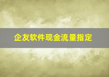 企友软件现金流量指定