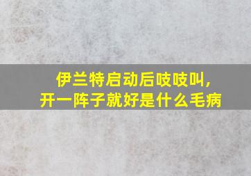 伊兰特启动后吱吱叫,开一阵子就好是什么毛病