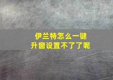 伊兰特怎么一键升窗设置不了了呢