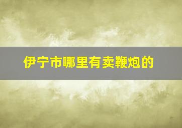 伊宁市哪里有卖鞭炮的