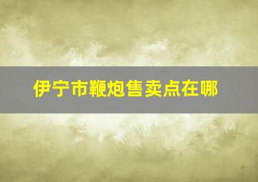 伊宁市鞭炮售卖点在哪