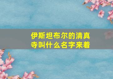 伊斯坦布尔的清真寺叫什么名字来着