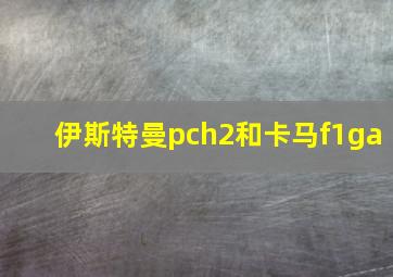 伊斯特曼pch2和卡马f1ga