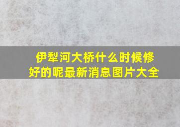 伊犁河大桥什么时候修好的呢最新消息图片大全