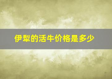 伊犁的活牛价格是多少