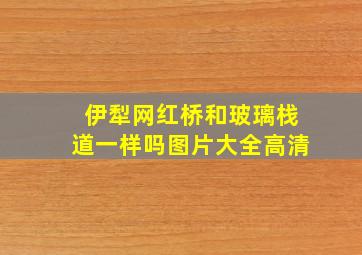 伊犁网红桥和玻璃栈道一样吗图片大全高清