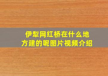 伊犁网红桥在什么地方建的呢图片视频介绍