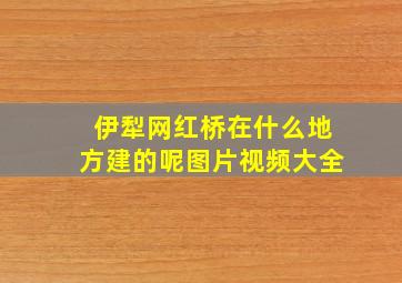 伊犁网红桥在什么地方建的呢图片视频大全