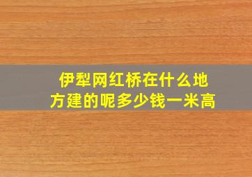 伊犁网红桥在什么地方建的呢多少钱一米高