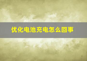 优化电池充电怎么回事